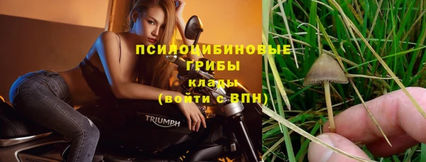 винт Усинск