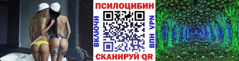 Галлюциногенные грибы прущие грибы  Купить  Павловская 