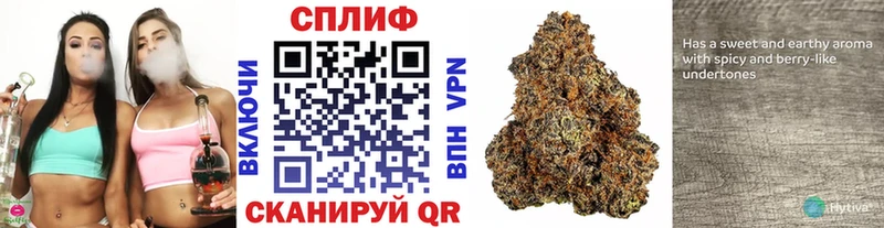 Канабис Ganja  Купить закладки  Павловская 